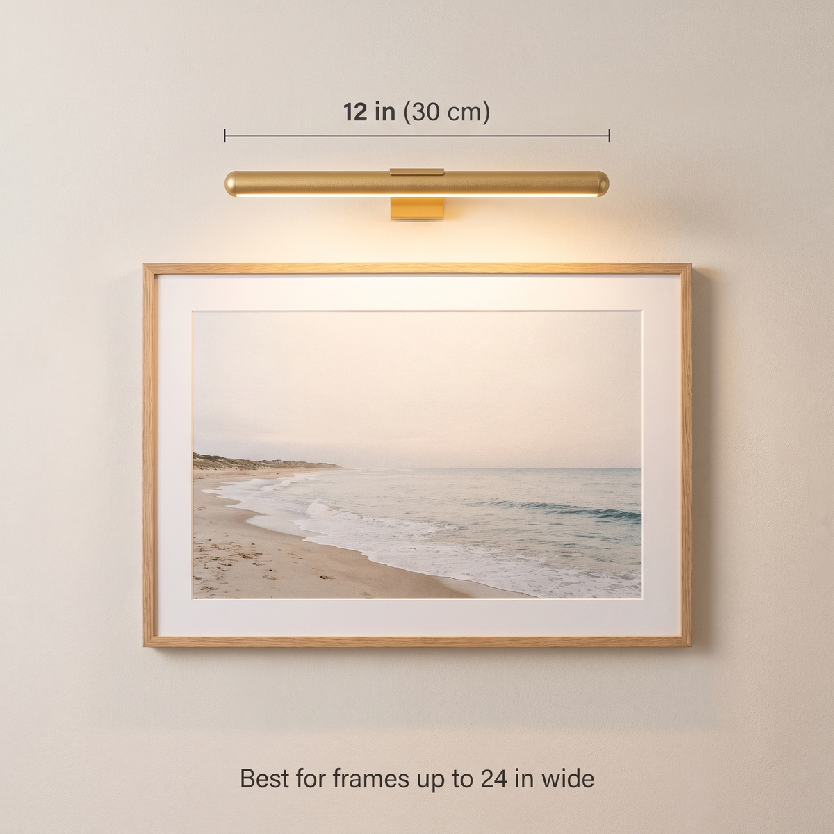 Cordless Picture Light, Rechargeable Art Light with Remote, 12 or 16 Inch