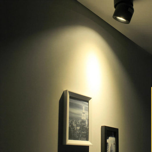 Ceiling Spotlight, Adjustable Angle LED Flush Mount, 2 Colors